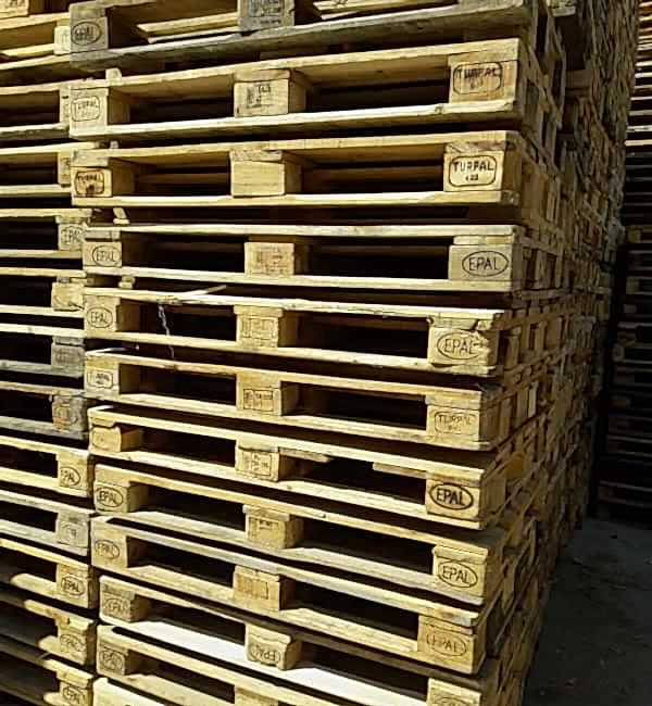 Ankara Palet Dünyası