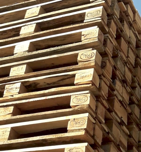 Ankara Palet Dünyası