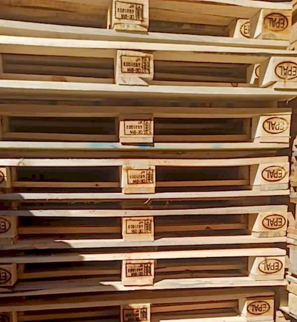 Ankara Palet Dünyası